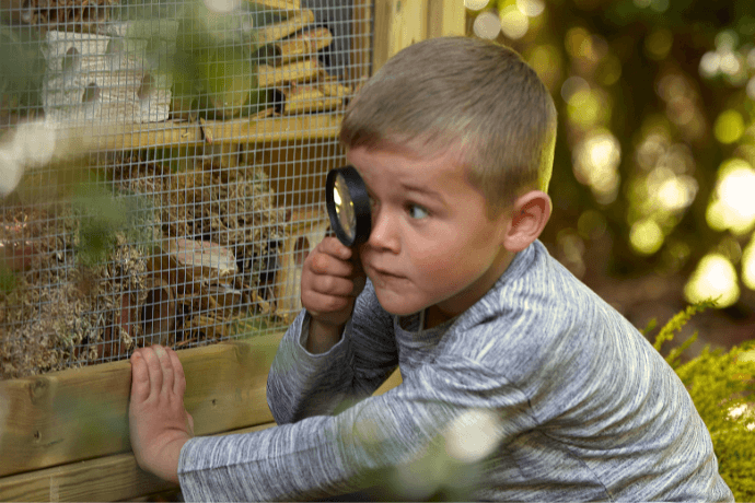Mini Beasts, Habitats & Observation