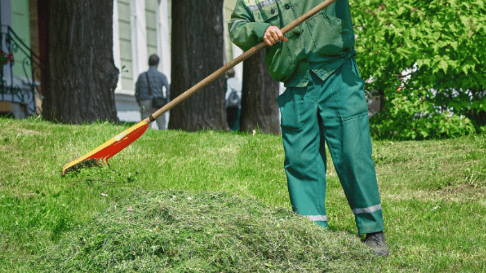 grounds maintenance services