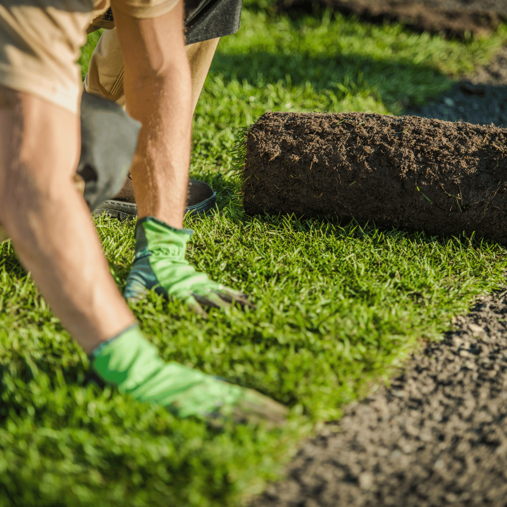 grounds maintenance services