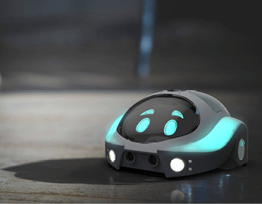 Programming robot