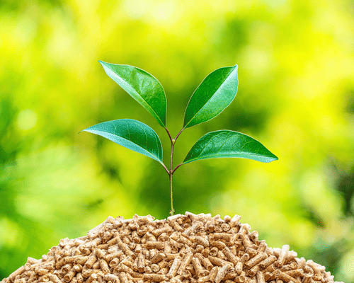 wood pellet fuel with plant 