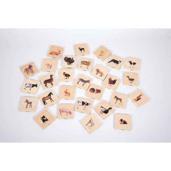 Domestic Animal Family Match | Games | YPO