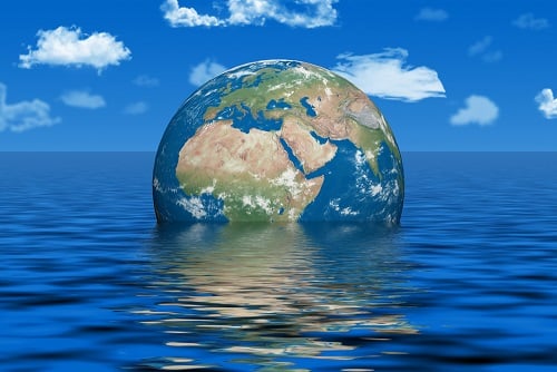 Easy steps to do your bit and help combat climate change