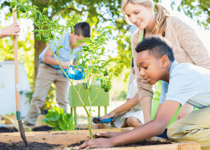 School sustainability leads 