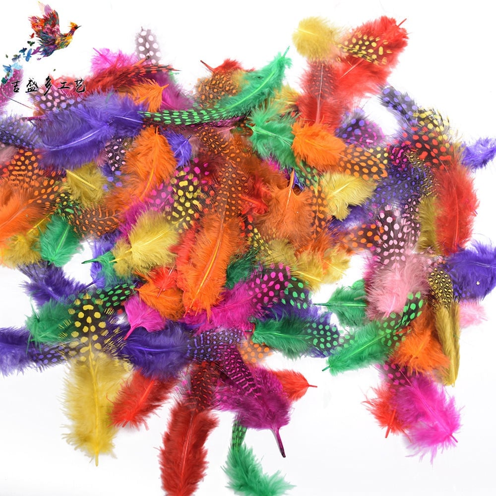 Craft Feathers