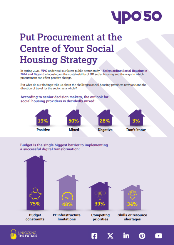 Social Housing Strategy Report Preview